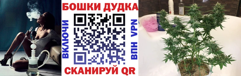 наркотики  кракен как зайти  Канабис MAZAR  Сорск 